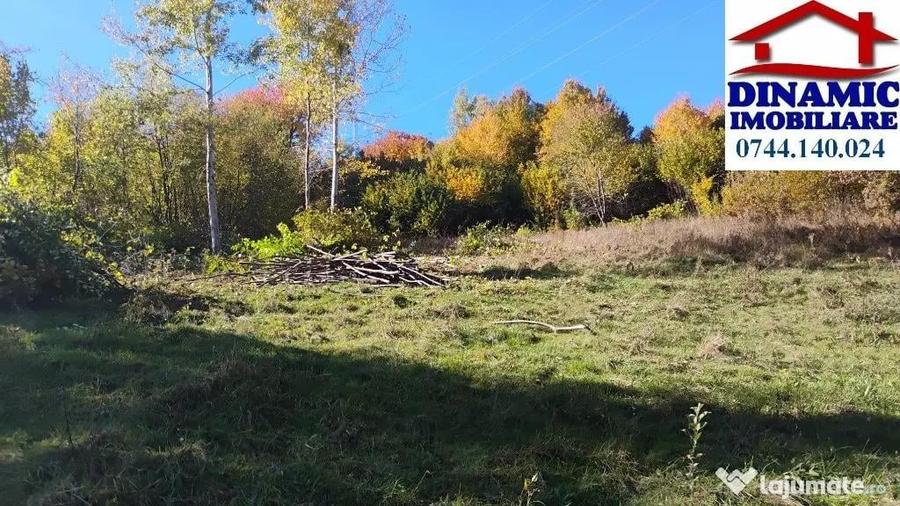 3600 mp teren intravilan, sat Bistrita, 12 Euro/mp - 4