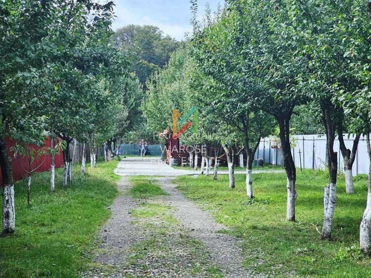 Teren 2000 | Casa | Foisor | Livada | Zizin | Brasov Teren 2000 | Casa | Foisor | Livada | Zizin | Brasov
