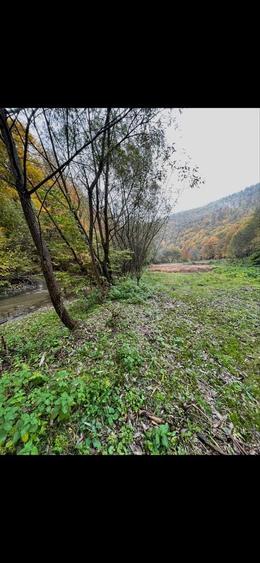 De vanzare Teren tanita 2150 mp - 6