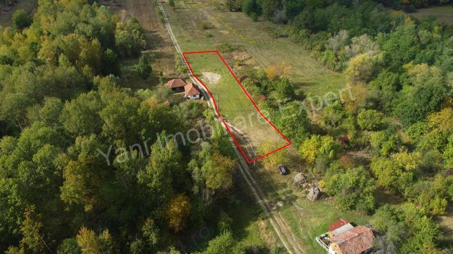 Teren de vanzare in comuna Poienarii de Arge?, sat Ioanice?ti, jude? Arge?. - 9