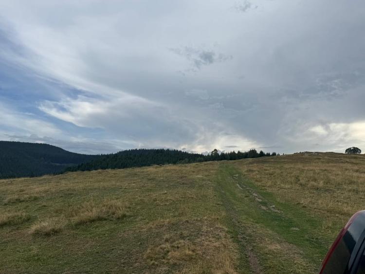 Teren Extravilan de Vânzare în Păltiniș - Oportunitate Excepțională Investiții! - 2