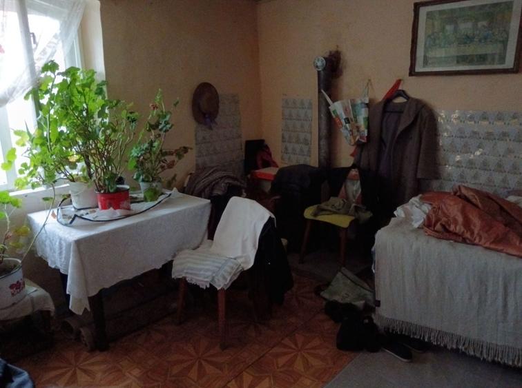 Casa batraneasca de vanzare - 2