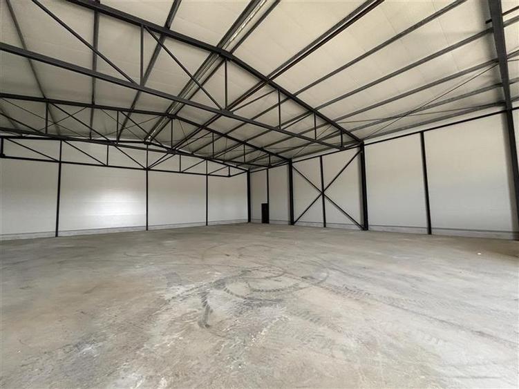 Vanzare depozit/hala/spatiu industrial Theodor Pallady - Gara Catelul - 3