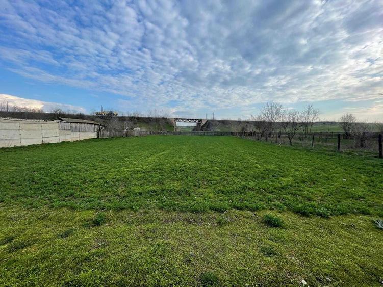 Taren cu casa de vanzare - 2