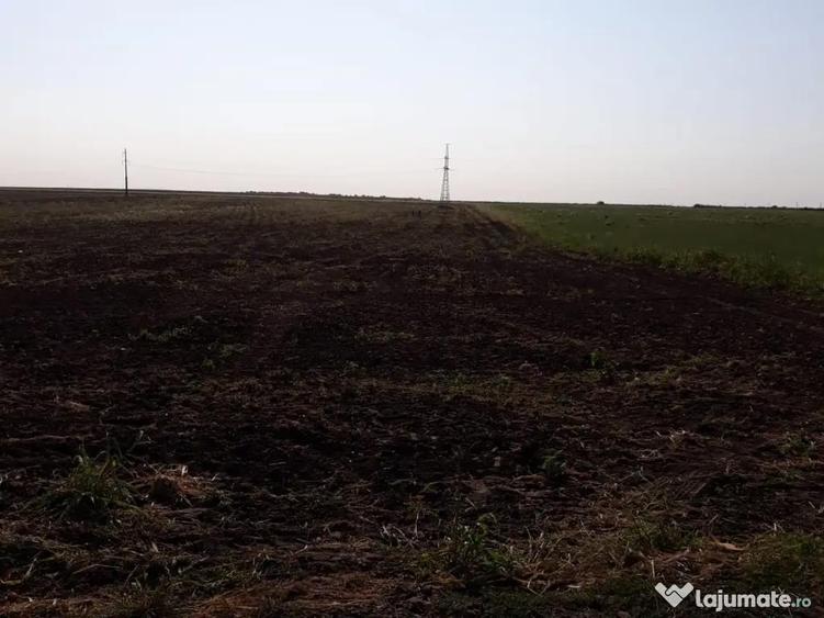 Teren agricol extravilan 15000mp - 2