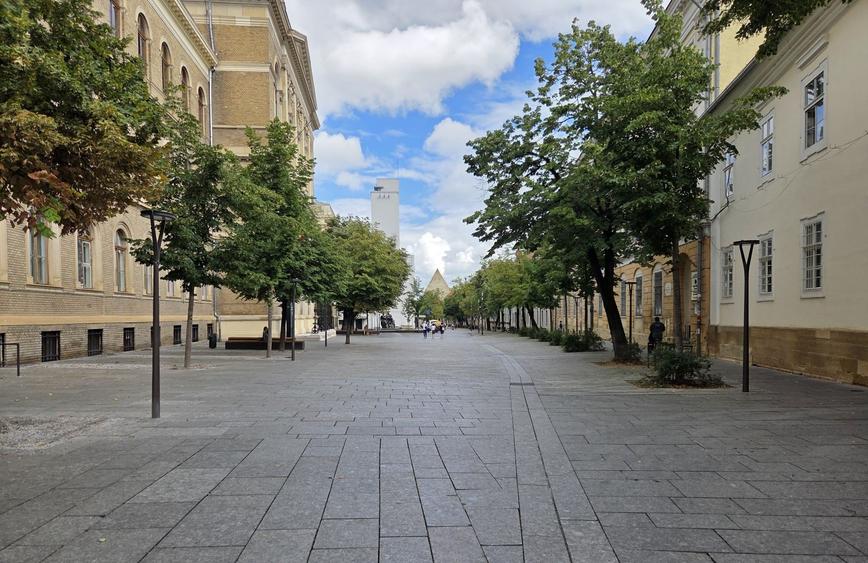 Apartament spectaculos  de vânzare în Palatul Teleki – Clădire monument  istoric - 13