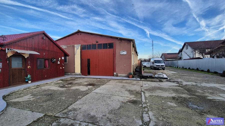 Vanzari Case / Vile Magurele - 3