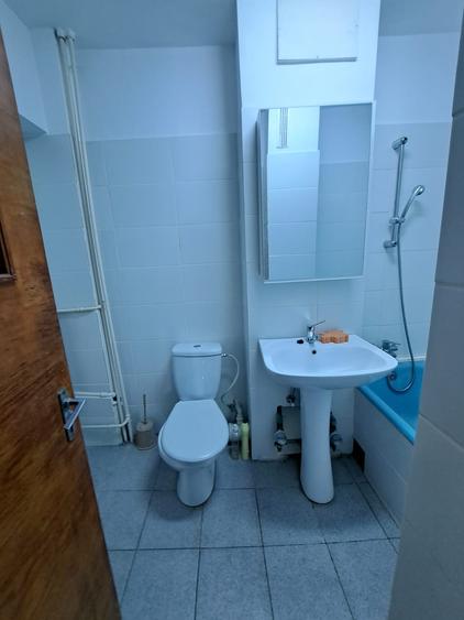 Oferta inchiriere apartament 3 camere Lacul Tei Parcul Circului - 15