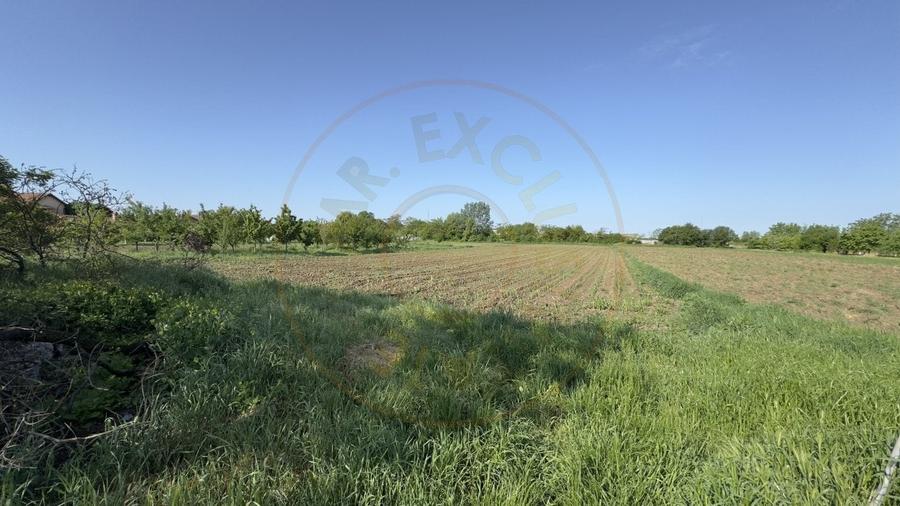 Casa 4 camere, Teren 3.862 mp Str. Traian Nr.99 - Carei - Comision 0% cumparator - 10