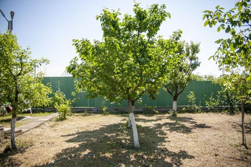 "Casa Varlan" - oaza de liniste perfecta pentru cei ce vor sa detina o pensiune! - 12