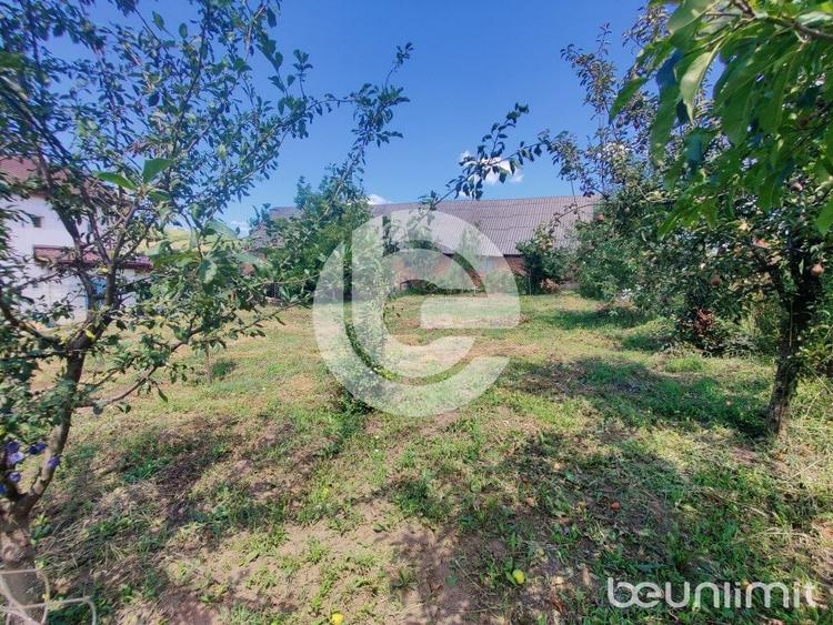 Teren intravilan Sura Mare - 578 Mp - PUZ aprobat si toate utilitatile - 1