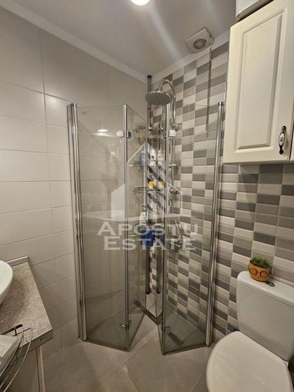 Triplex cu 3 camere, 2 bai, regim de inaltime P+1, Sanandrei - 8