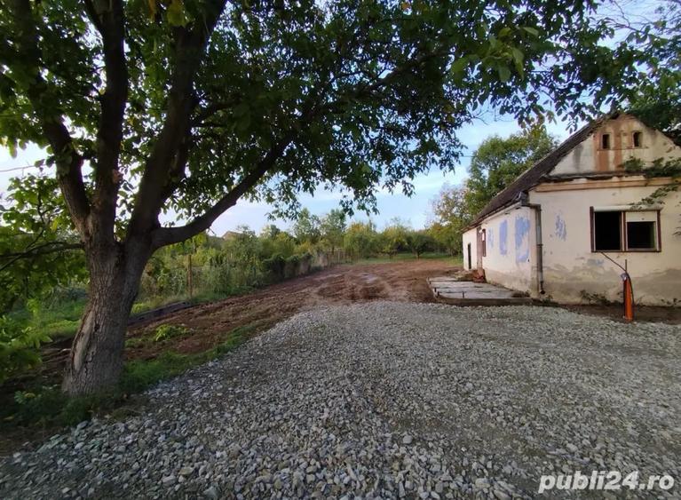 Casa Sacel Teren 1400 mp livada - 3