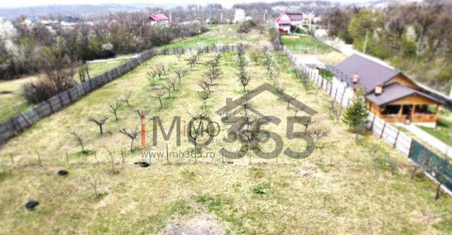 Teren Lupueni - Babana - intravilan 1025mp