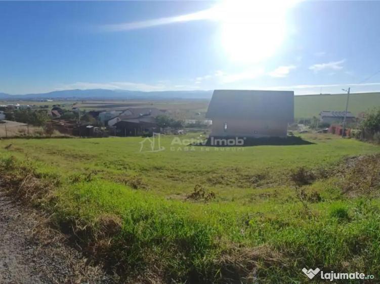 Teren intravilan cu proiect de casa autorizat in Sura Mare - 3