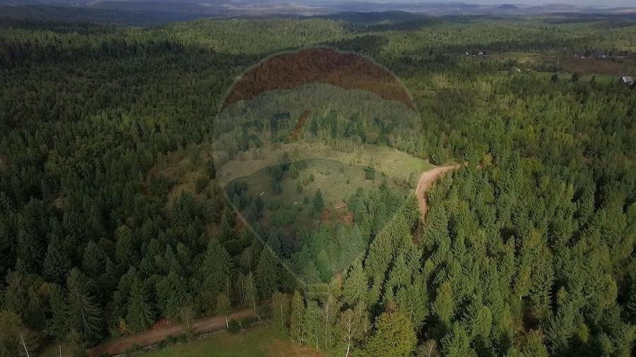 Teren extravilan parcelabil Călățele Pădure, zona Dealu Negru - 1