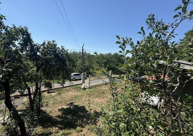 De vanzare Casa cu teren 3500MP in Sabisa/Maramures - 9