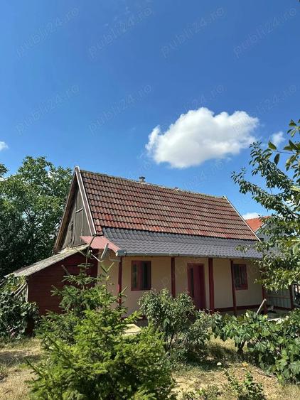 Casa de vanzare in Gepiu. - 3