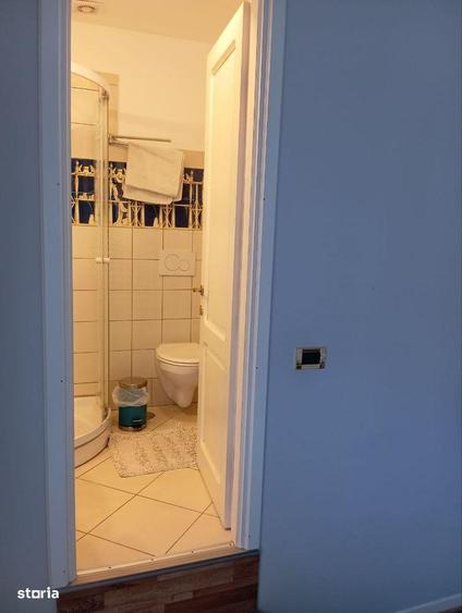 Vila/Pensiune/Minihotel/vanzare /inchiriere Centru Casa Casatoriilor - 5