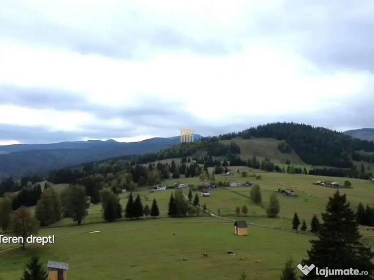 Teren 2804 mp, la munte! In Bucovina Fundu Moldovei! - 6