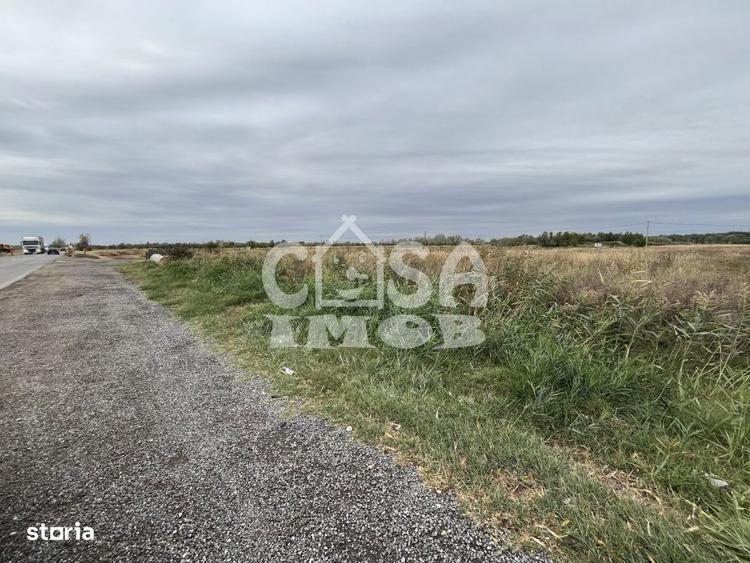 Teren intravilan 15000 mp oportunitate business - 6