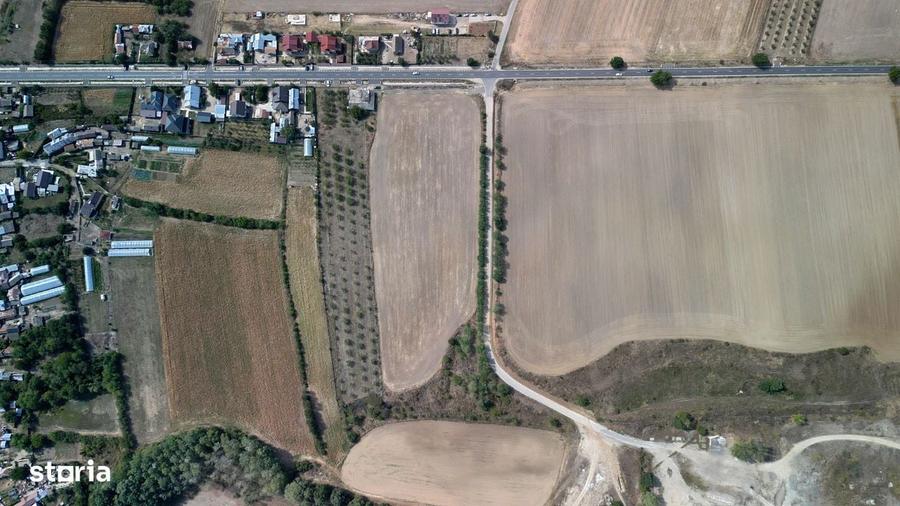 Vanzare teren 9654 mp, deschidere 27m, comuna Dobra, sat Dobra - 1