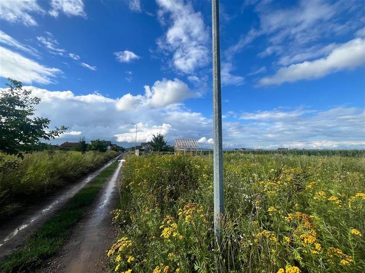 TEREN INTRAVILAN, 500 MP, HARMAN - 3