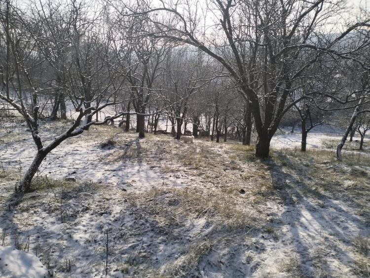 Moșia boierească din vârf de deal, Scorțeni - Prahova, comision 0% - 8