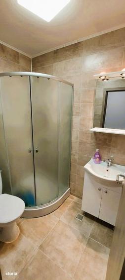 Garsoniera de inchiriat Cisnadie (centru) - 5