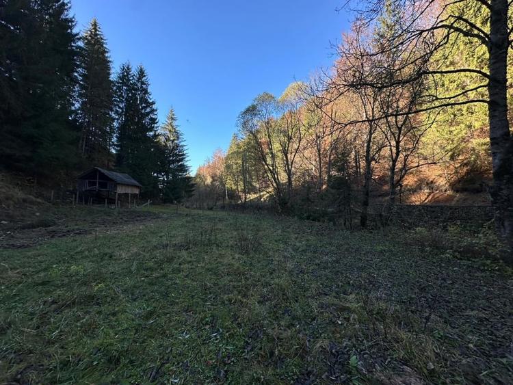 Teren 2.882 mp – oportunitate investitie - Cheile Dambovicioarei - 8