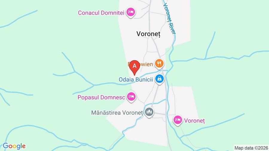 Teren Construcții intravilan de 9106 mp, în Voroneț
