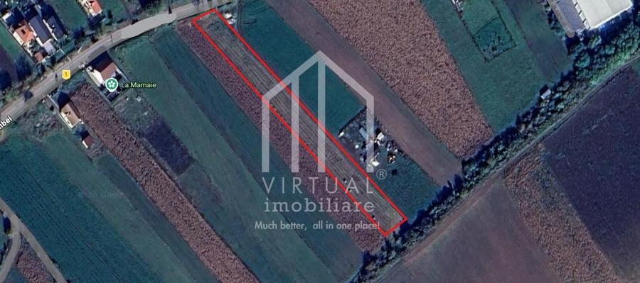 Teren agricol intravilan de 6695 mp, în Șura Mare