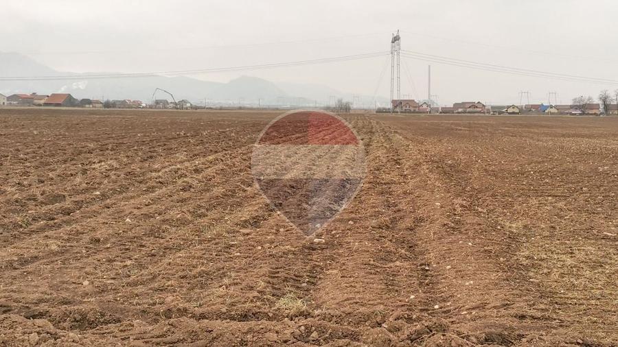 Teren agricol intravilan de 52410 mp, în Tărlungeni