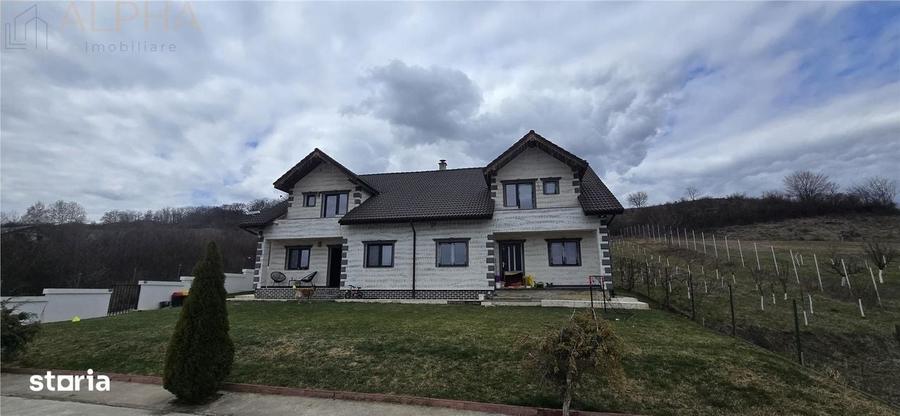 Casă cu 4 camere în Viișoara