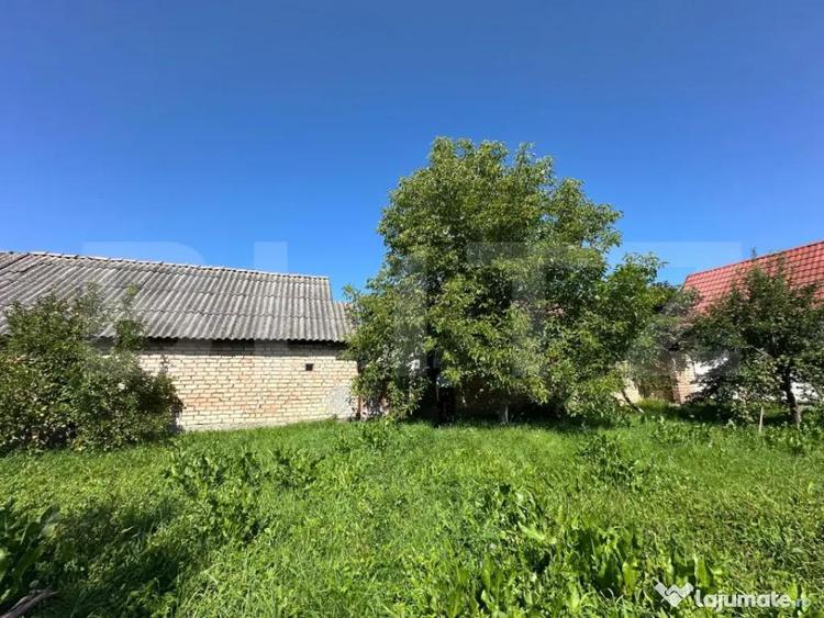 Casa saseasca de vanzare, curte, gradina, teren 3000 mp - Ji - 17