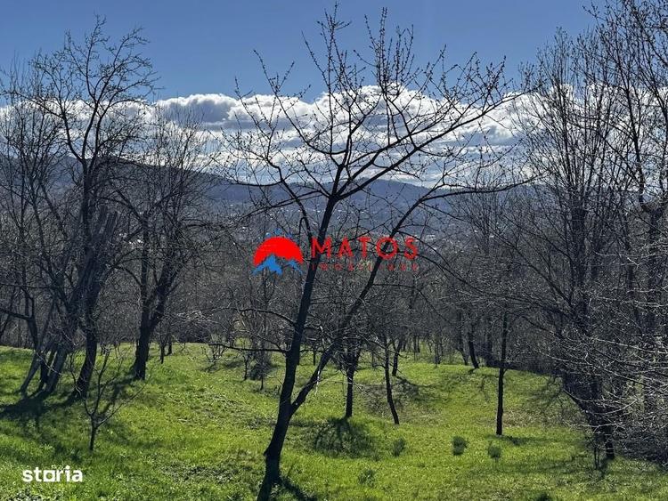 Casă cu 3 camere cu Teren 3025 Mp în Ghioșești