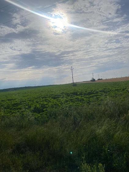 Vand teren extravilan,strada agricultorului din municipiul Slatina ,S=5150 mp deschidere 15 m - 2