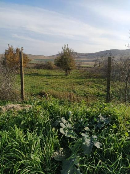 Nicolae Balcescu - Tulcea, teren cu deschidere 27 ml la drum national - 1