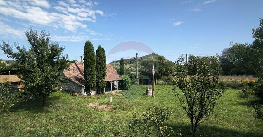 Casa de vacan?a in sat sasesc, Moarda? jude?u... - 8