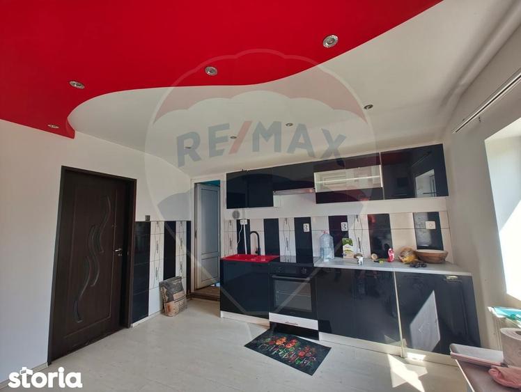 Casa de vanzare cu teren de 2175 mp,anexe si livada generoasa | Mailat - 10