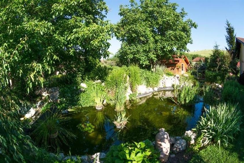 Tur LIVE! O emblema a turismului in Sanpetru - 38