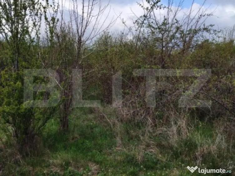 COMISION 0% LA CUMPARATOR Teren INTRAVILAN 8280 mp, zona L - 4