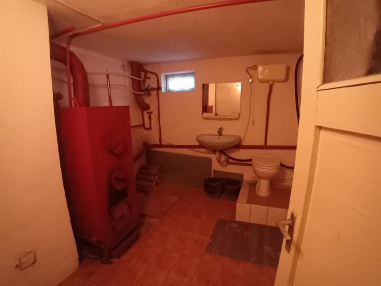 Vila 365 mp si teren aferent 5000 mp Batca Doamnei - 9