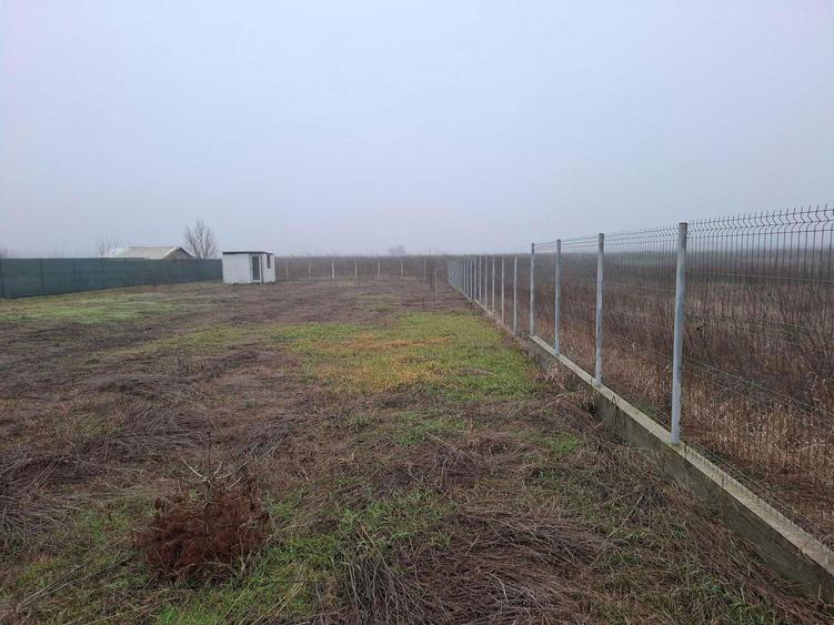 Vanzare teren 1000 mp Gradistea, Ilfov - 5