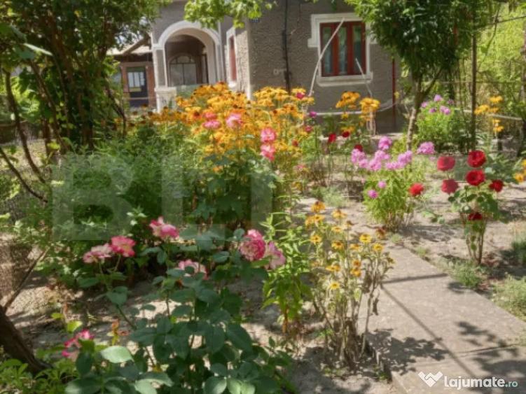 Gospodarie Completa, 130 mp, 1.300 mp Teren, Doice?ti - 10