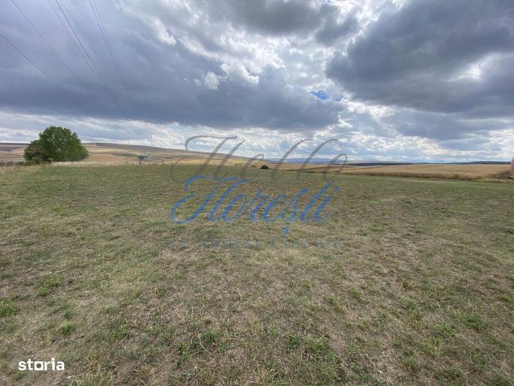 Teren de 1833 mp sat rediu - 3