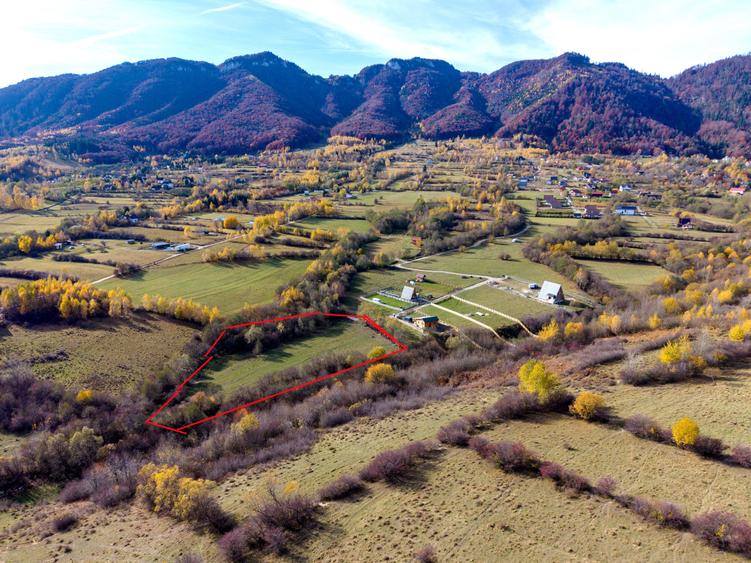 Teren intravilan 5723mp Zarnesti Tohanita- case de vacanta,investitie in turism - 2