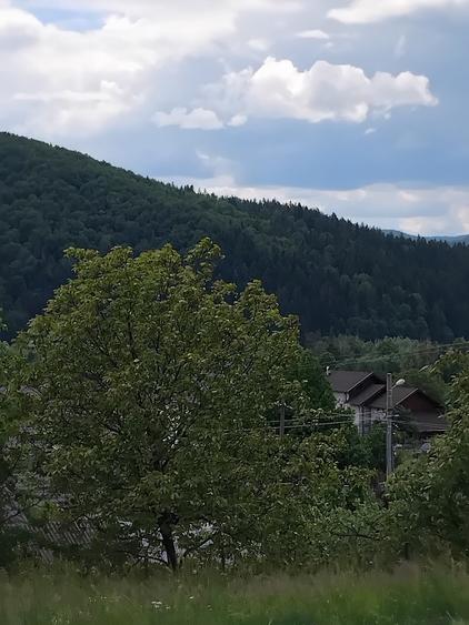 Vând lot pentru casă  sau cabană  - 3