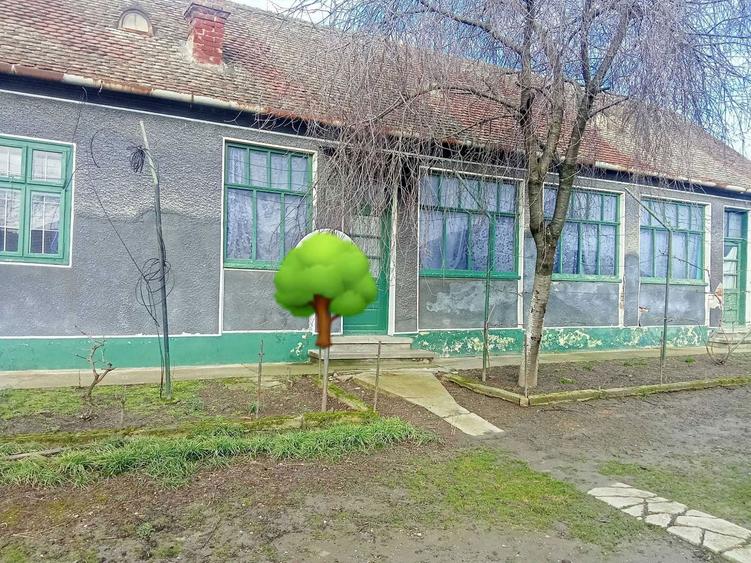 Vand gospodarie traditionala in Socodor - 4