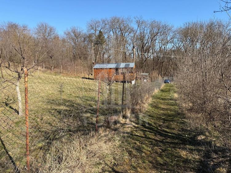 Teren intravilan de vânzare - Ocna Sibiului - 5